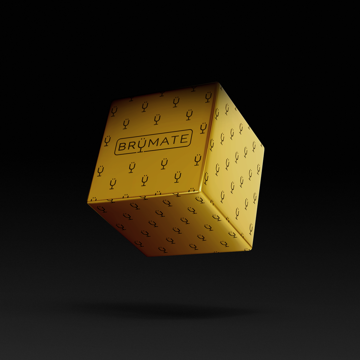 premium-mystery-item-39-70-value-i1 IMG-1548.png